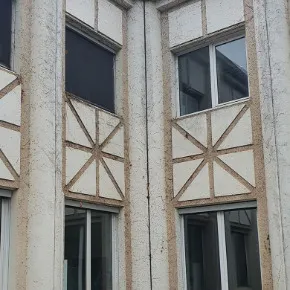 Arrachage lierre façade Grenoble