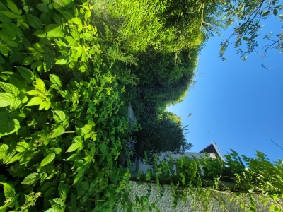 Exemple Avant/Après 2