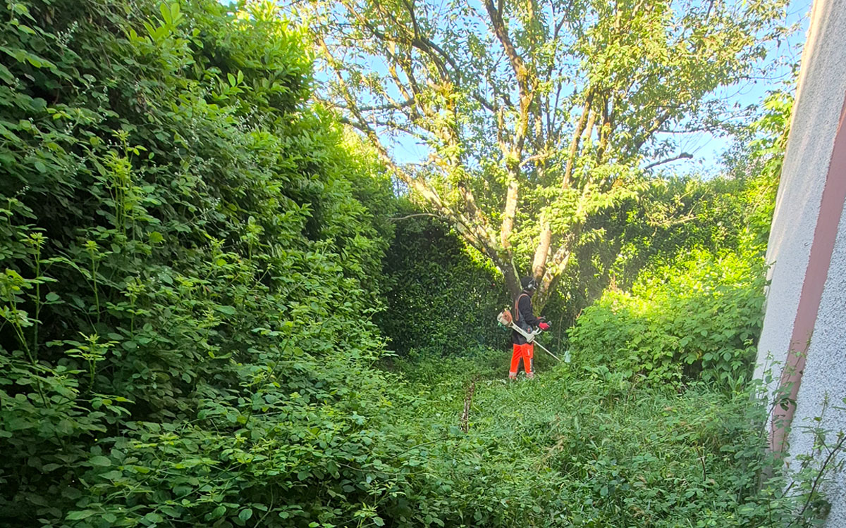 Avant Exemple Avant/Après 2